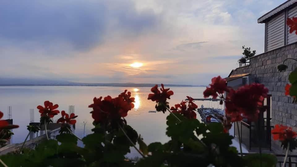 Orion Guest House Sozopol Bagian luar foto